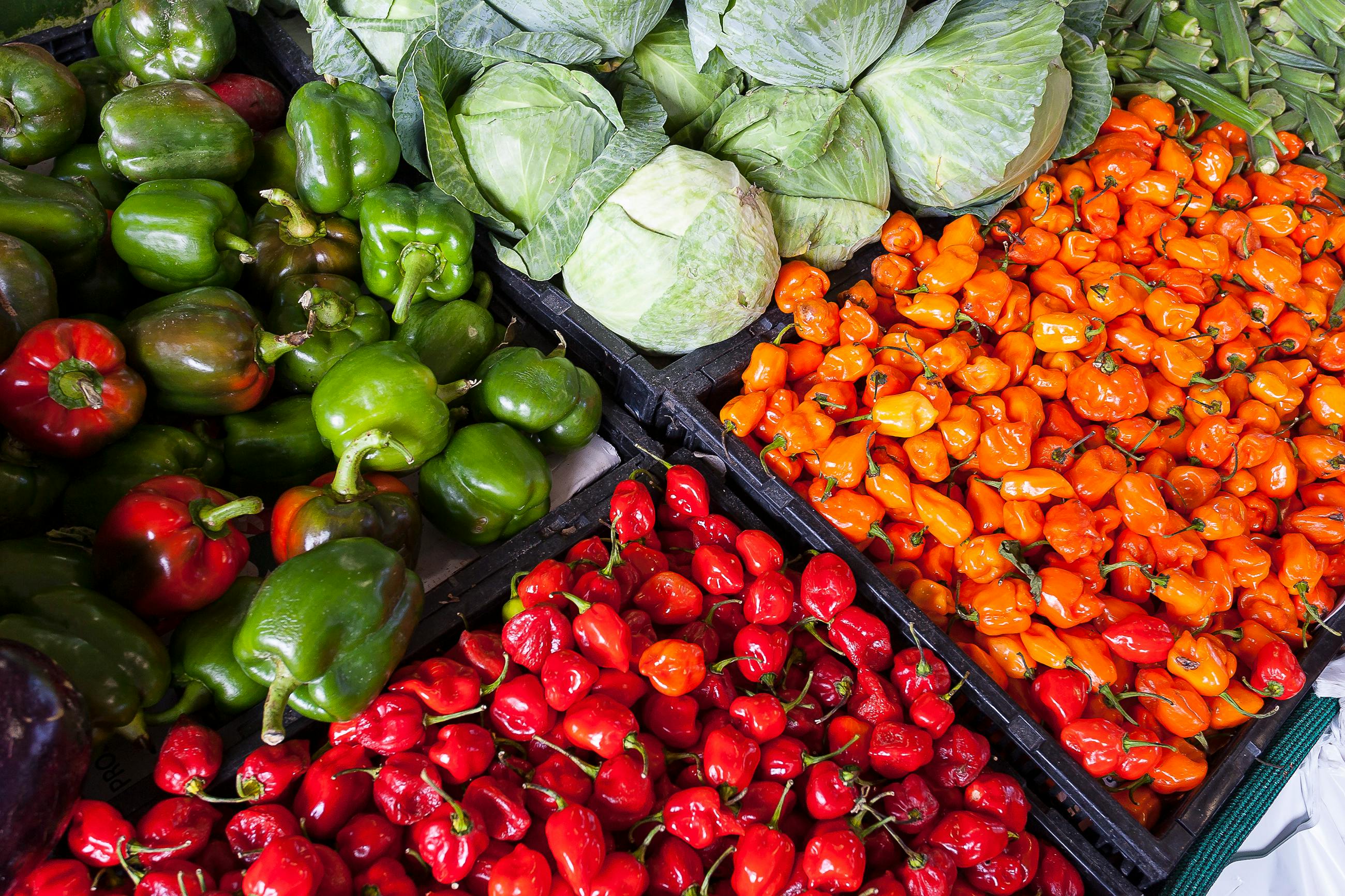 Custom Agriculture Solutions